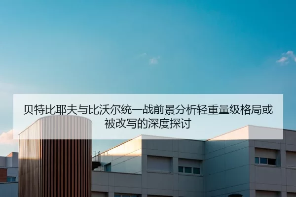 bei-te-bi-ye-fu-yu-bi-wo-er-tong-yi-zhan-qian-jing-fen-xi-qing-zhong-liang-ji-ge-ju-huo-bei-gai-xie-de-shen-du-tan-tao-2-339.jpg